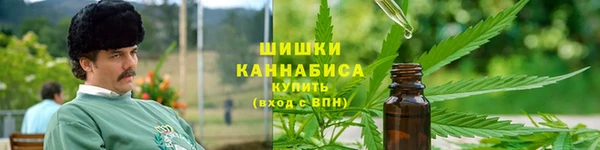ПСИЛОЦИБИНОВЫЕ ГРИБЫ Лиски