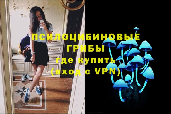 ПСИЛОЦИБИНОВЫЕ ГРИБЫ Лиски