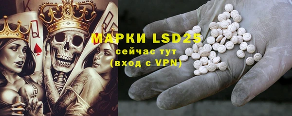 ПСИЛОЦИБИНОВЫЕ ГРИБЫ Лиски