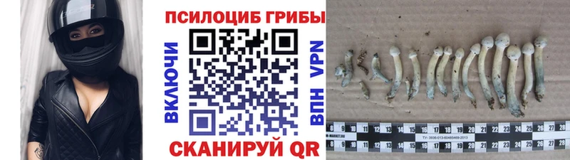 Псилоцибиновые грибы мухоморы  где найти   Саранск 
